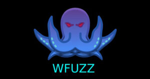 wfuzz